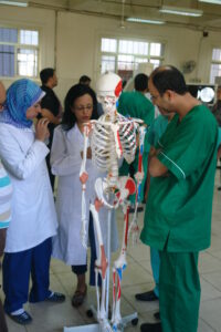 Prof Amany Ayad
