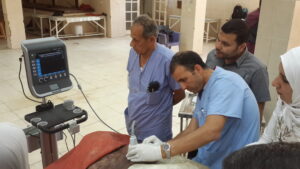 US workshop (2)